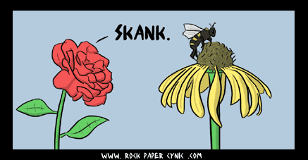 Flowers Judging Each Other flowers are resentful toward each other