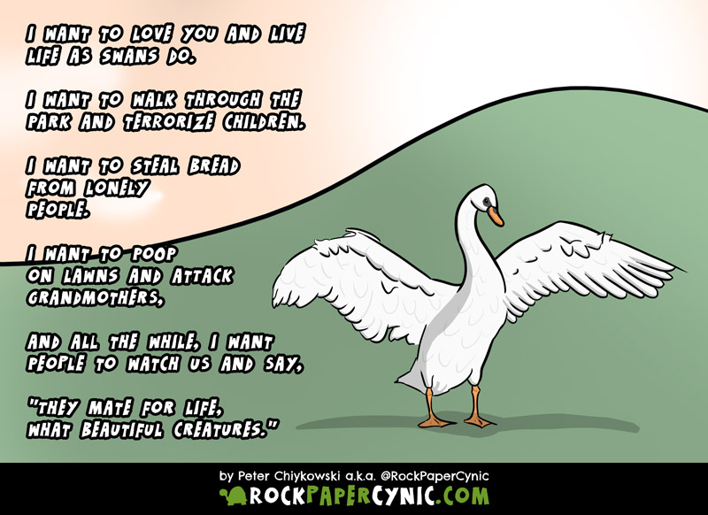 If Swans Are Romantic, Then Romance is Seriously Messed Up swans turn out not be all that romantic anyway