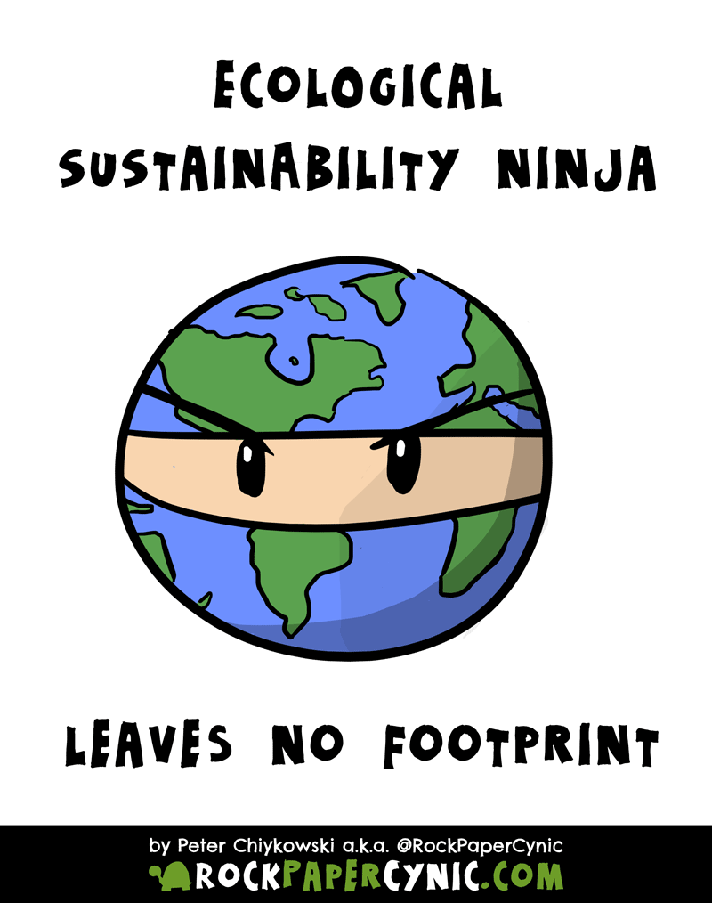 Environmental Sustainability Ninja meet the environmental sustainability ninja (and his amazing carbon footprint)