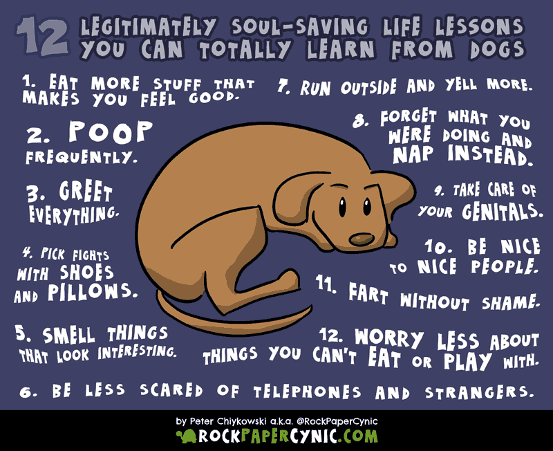 12 Legitimate New Year's Resolutions You Can Steal from Dogs we offer 12 legitimately life-improving New Year's resolutions you can steal from dogs