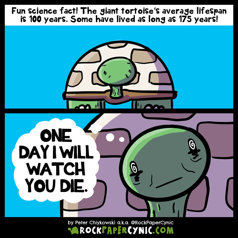 Something you didn't knowe about the giant tortoise we share not just what is so amazing about the giant tortoise's lifespan, but also what the giant tortoise thinks about it